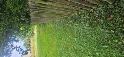 Grenzzaun Rebhofweg 11