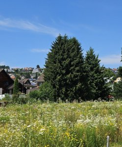 Sicht zu Rebhofweg 11 vom Parkplatz
