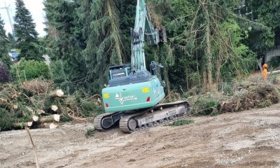 Wird immer besser